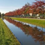 Königswiesen Kanal Im Herbst